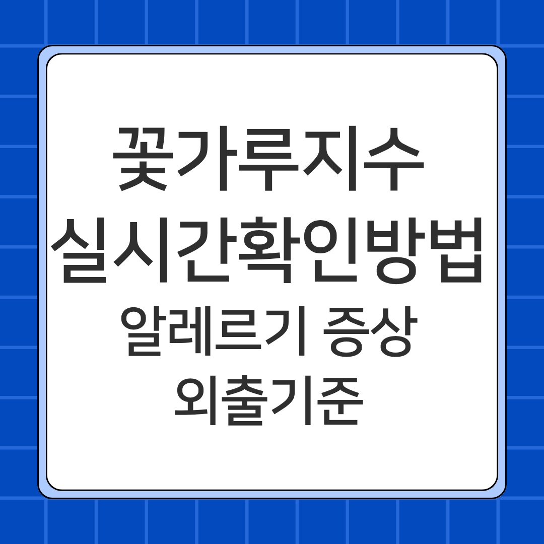 꽃가루지수 실시간 확인 방법 알레르기 증상 외출기준 총정리