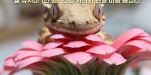 초등학생 자녀 반려 도마뱀으로 인기 있는 크레스티드 게코 도마뱀 키우기 현실 비용 정보