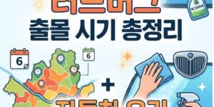 2026년 러브버그 출몰 시기 및 자동차 유리 사체 제거법 대표 이미지