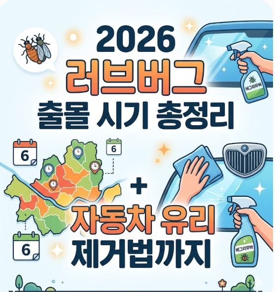 2026년 러브버그 출몰 시기 및 자동차 유리 사체 제거법 대표 이미지