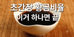초간장 황금비율