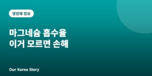 마그네슘 흡수율