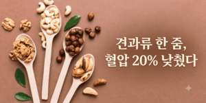 견과류 혈압