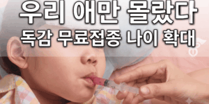 독감 무료접종 나이 확대 대상
